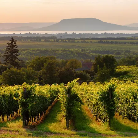 펜션 Homes In 40843 Balatonboglár